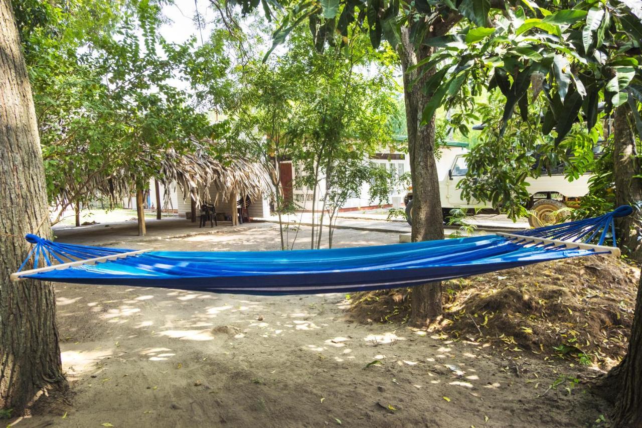 Best Hostel Yala تيساماهاراما الغرفة الصورة