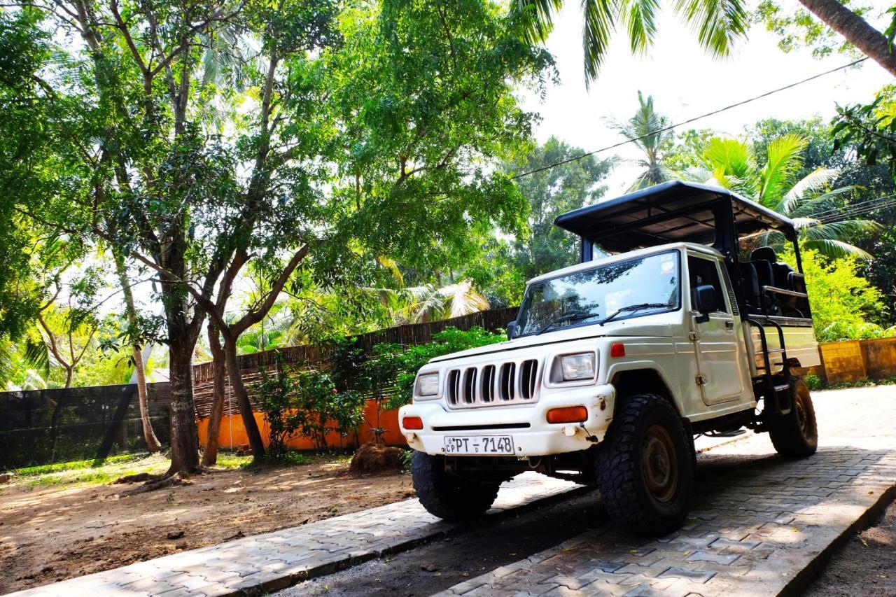 Best Hostel Yala تيساماهاراما الغرفة الصورة